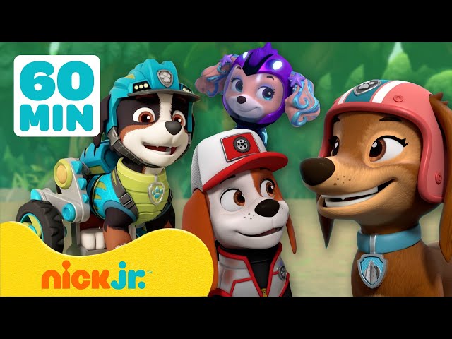 PAW Patrol | ¡Conoce a los NUEVOS miembros del equipo PAW Patrol! | Nick Jr. en Español