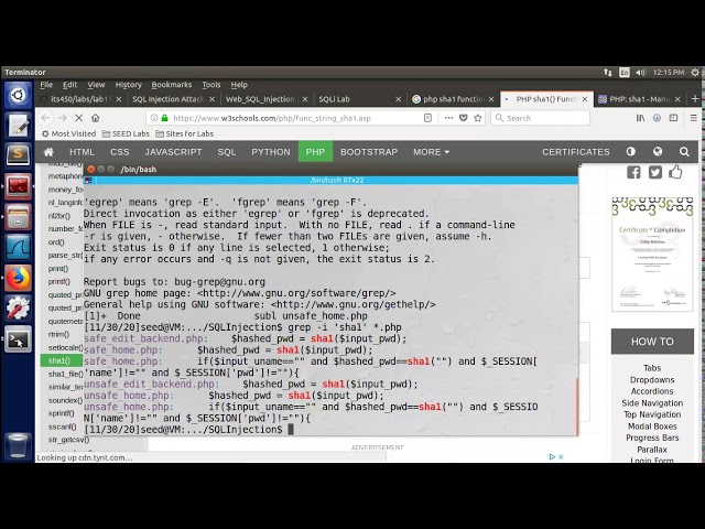 Lab11 SEED 1.0 SQL Injection Attack I