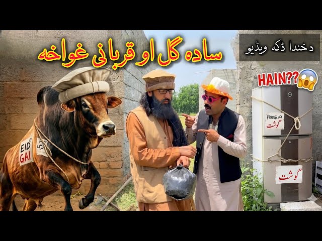  Sada Gul Aw da Akhtar Gwaha | Pashto Funny Video | Pashto Comedy Video By BD Vines 2026 #bdvines 
