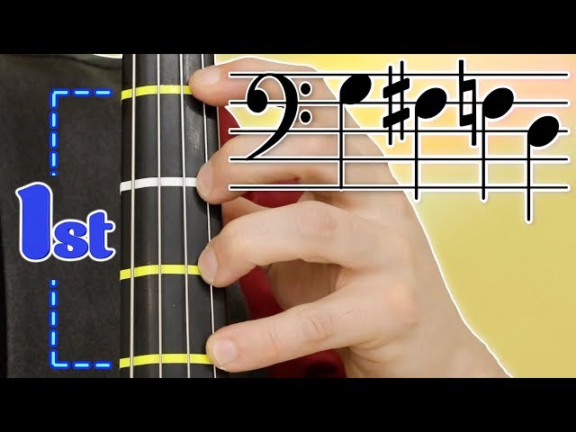 The First Position on Cello, a Beginner Cello Lesson | Basics of Cello