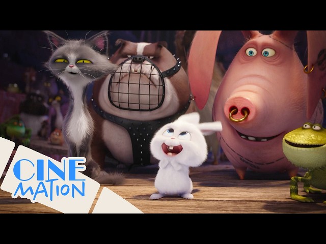 Best Comedy Moments from The Secret Life of Pets | Cinemation