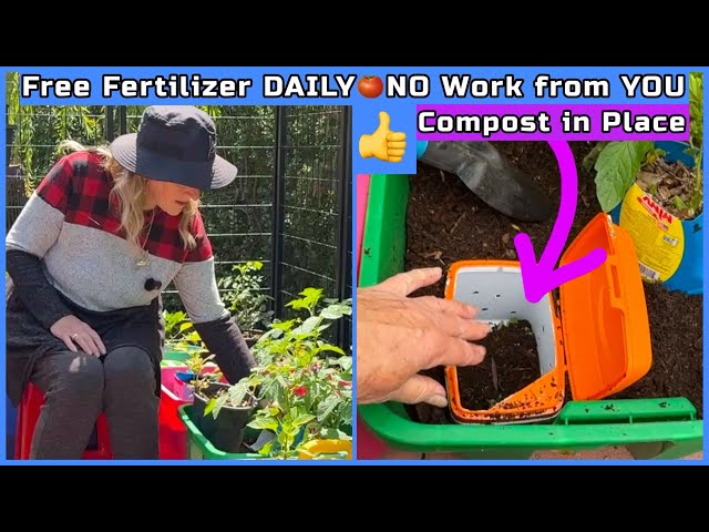 How to Make Compost EASY Method in Your Vegetable Garden in Mini Worm Farm Setup Container Gardening