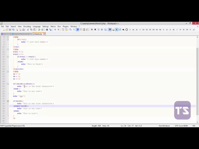 If Else If  Statements - Lecture 22 (PHP Tutorial)