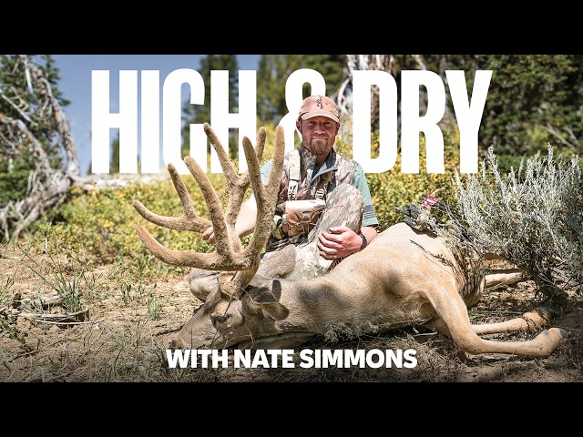 High & Dry | Hunting High Country Mule Deer with a Bow