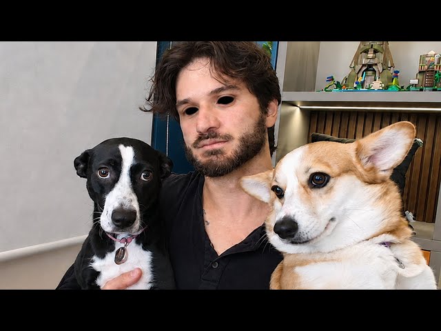 4 DOG-THEMED HORROR GAMES!
