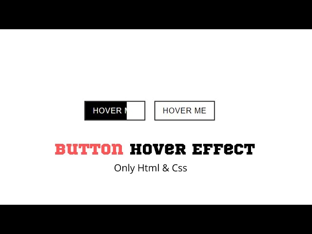 Button Hover Effect Using HTML And CSS | Hover Effect CSS