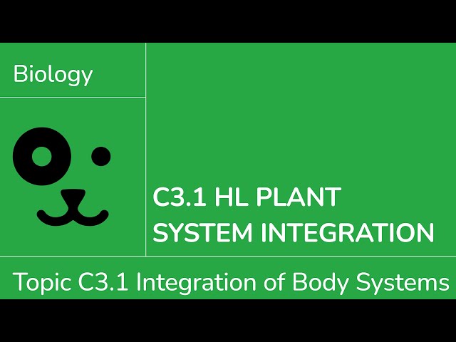 C3.1 HL Plant System Integration [IB Biology HL]