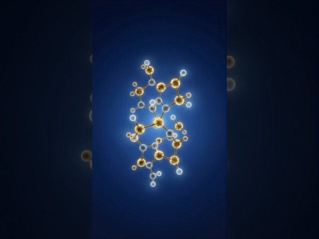 WHY PLANTS ARE QUANTUM COMPUTERS