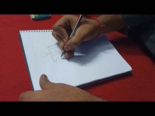 Human Anatomy__Skeletal System sketch__front__back__side view..