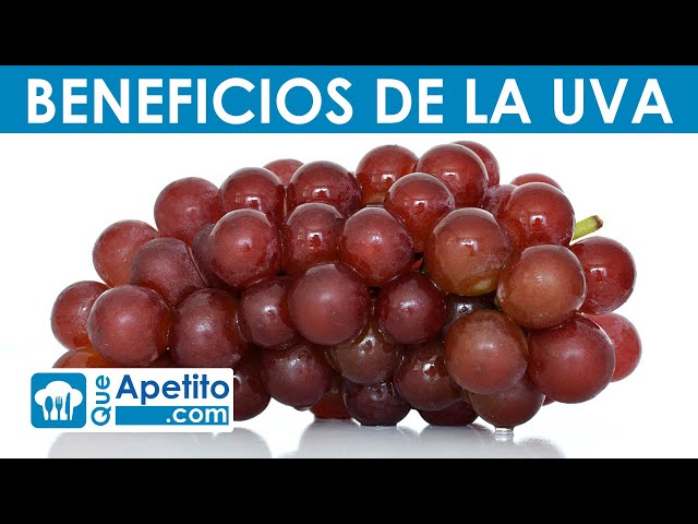 8 Propiedades y Beneficios de la UVA | QueApetito