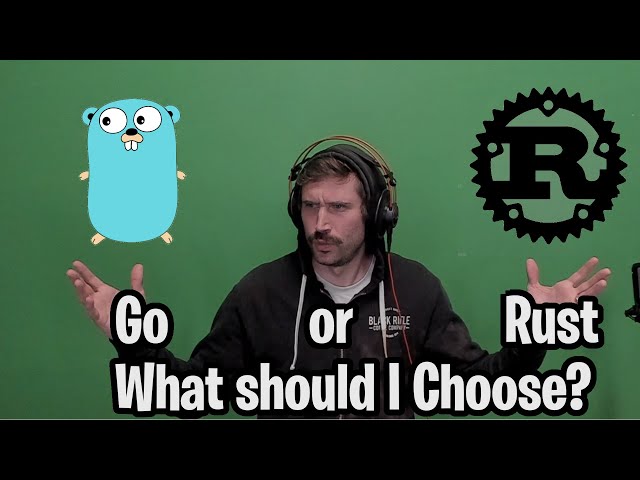 Rust or Go for my next project? WHAT TO CHOOSE? (as a senior intern engineer)