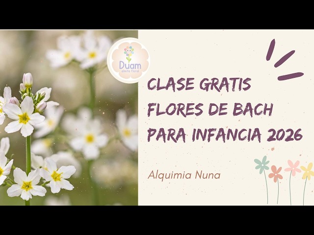 Taller gratuito de Flores de Bach para infancias -  2026