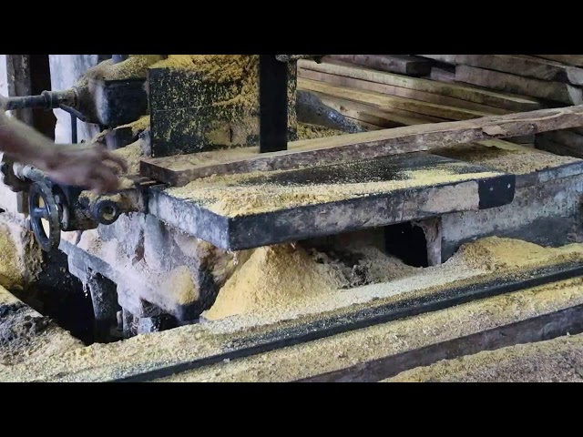 Massive Timber Processing Done Like a Pro