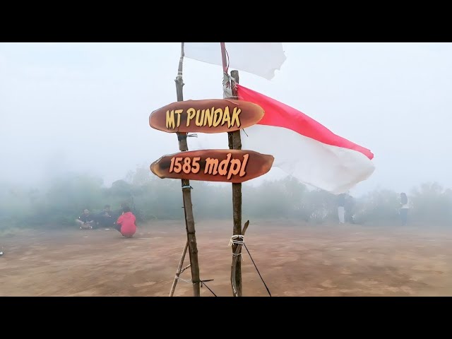 Hiking Mount Pundak, East Java, Indonesia | 1,585m Above Sea Level