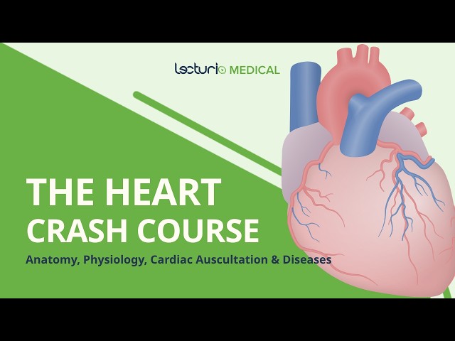 The Heart Masterclass | USMLE Cardiology Review
