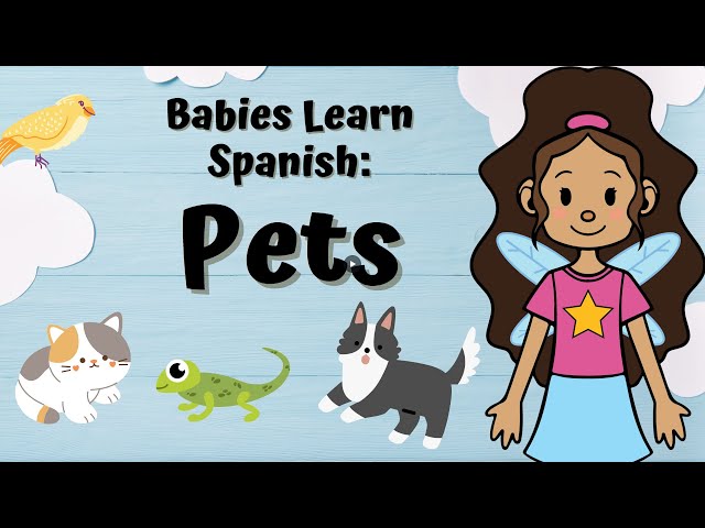 Babies Learn Spanish: Pets || 15-minute Spanish Interactive Learning for Kids