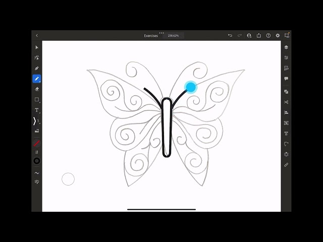 Illustrator for iPad - Mirror Repeat