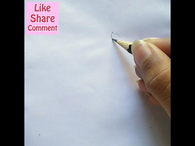 How to Perfectly Sketch a Fat Orange Cat in Minute