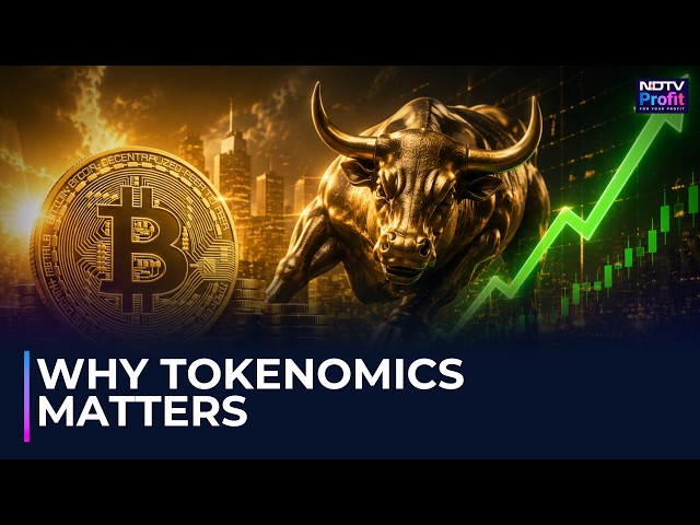 Tokenomics Explained: The Secret Behind Every Crypto's Value