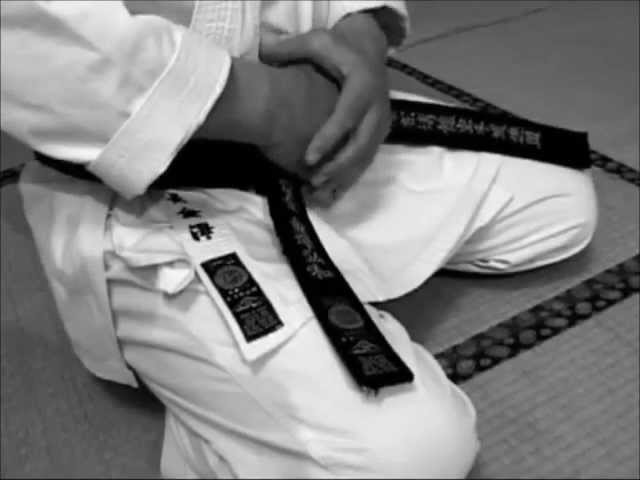 Shotokan Karate Do