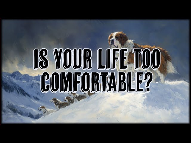 Are You Living With Purpose?