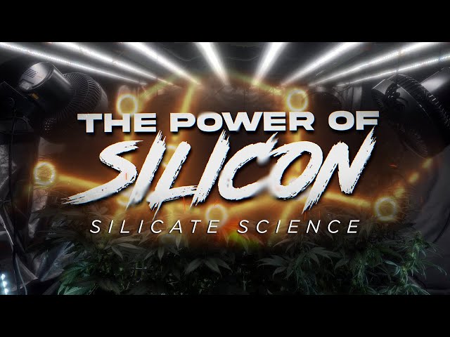 Grow Better Plants Using Earth's Natural Minerals: Silicate Science