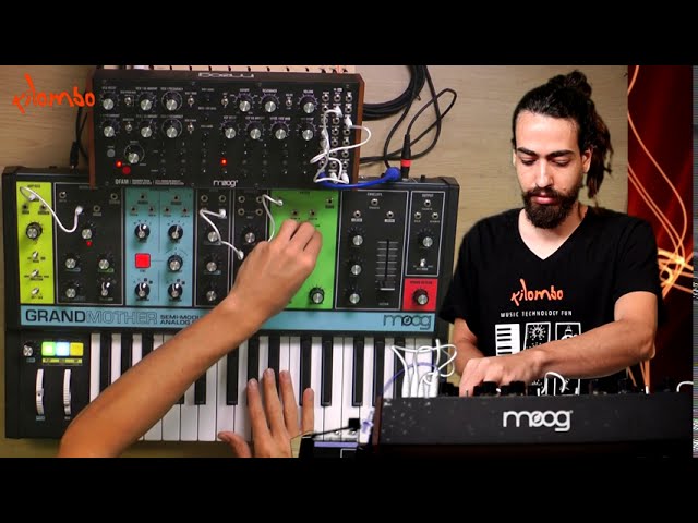 Moog Grandmother and Moog DFAM live session at Kilombo