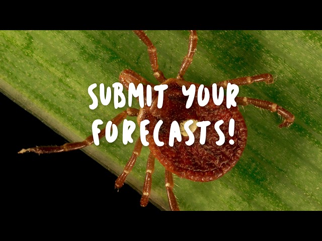 EFI Tick Abundance Forecast Challenge