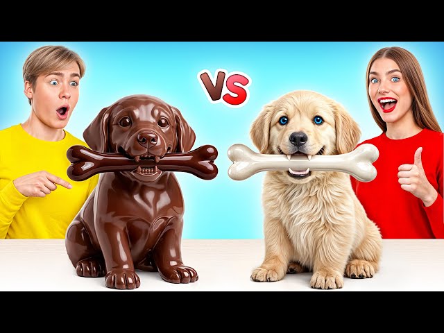 Desafío De Comida Real vs. De Comida Chocolate | Divertidos Cocina Momentos de Multi DO Challenge