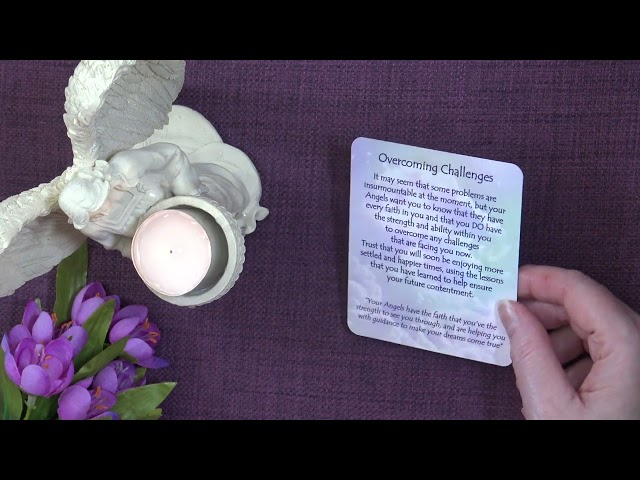 Your Daily Angel Message - A Little Angel Message — What the Angels Want You to Know Today ✨