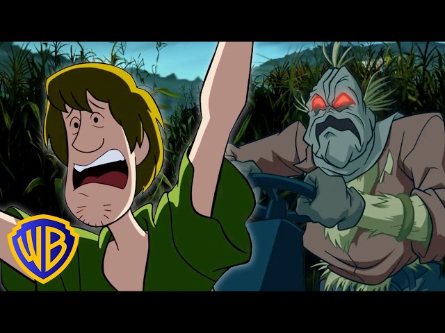 ESCAPE the Scarecrow! 🌽😱 | Scooby-Doo! and the Spooky Scarecrow | @wbkids