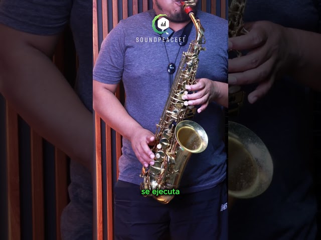 🎷🔥 SAXOPHONE COURSE FOR BEGINNERS 🔥🎷