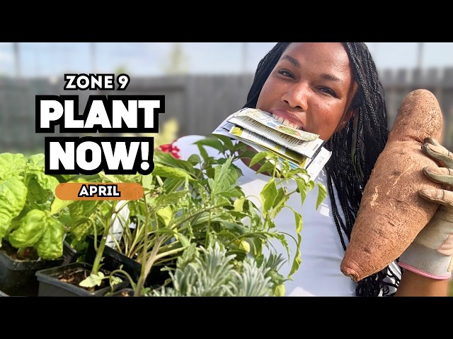 Zone 9 April Planting: 25+ Plants to Grow Right Now