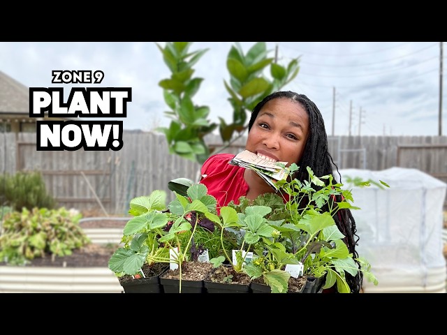 20+ Plants to Grow in February Zone 9