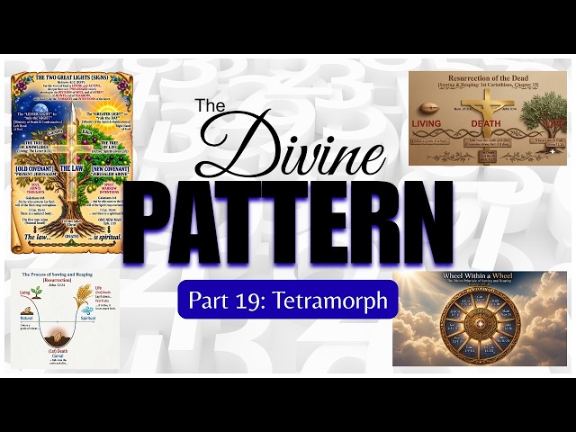 The Divine Pattern - Part 19 - Tetramorph