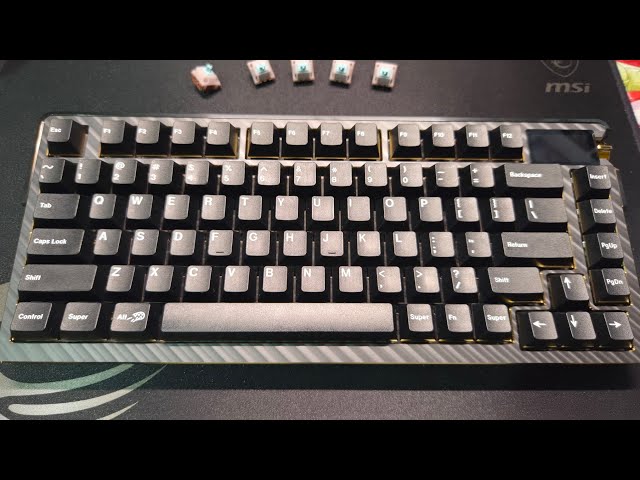 庭外茶軸 × ROG AZOTH EXTREME EDITION 20 SOUND TEST 打字音記錄