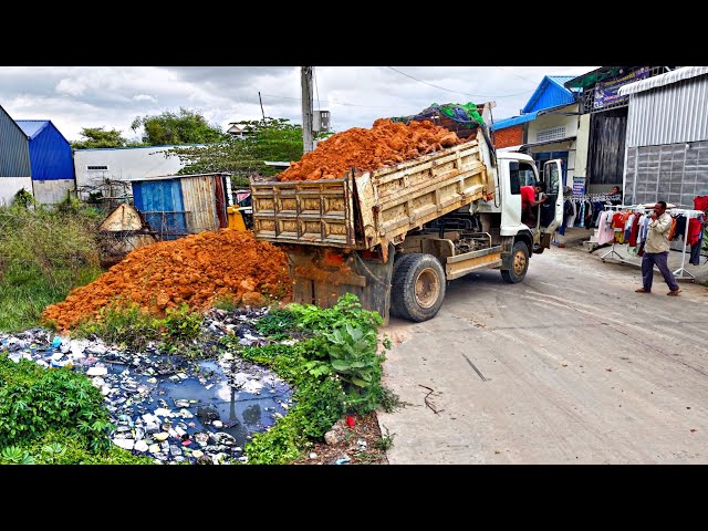 Start a new project!! Filling Land By Dump Truck Unloading Soil with Komat'su D20P Dozer