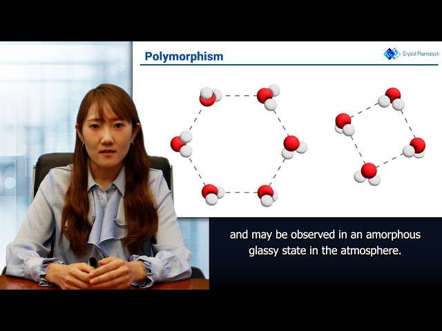 Crystal Classroom Pt1 Ep1 - Polymorphism