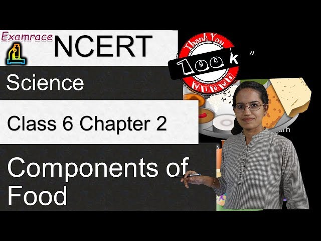 NCERT Class 6 Science Chapter 2: Components of Food (NSO/NSTSE/Olympiad) doorsteptutor.com