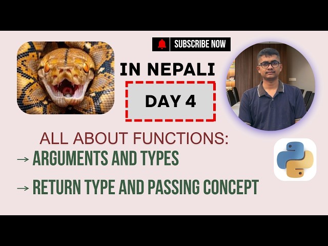 Function Argument | Return Type | Passing Concept in Python | Day 4 | Beginners Series Level 2
