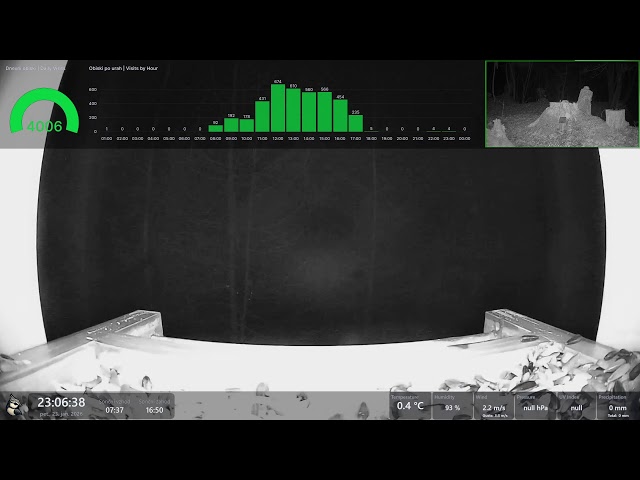 Krmilnica ob gozdu: Čopaste sinice & prijatelji | Forrest Edge Birdfeeder: Crested Tits & Friends