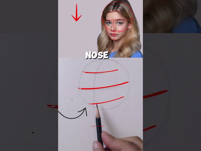 One Loomis method to get perfect face proportions #drawing #drawingtutorial #art #drawingtechniques