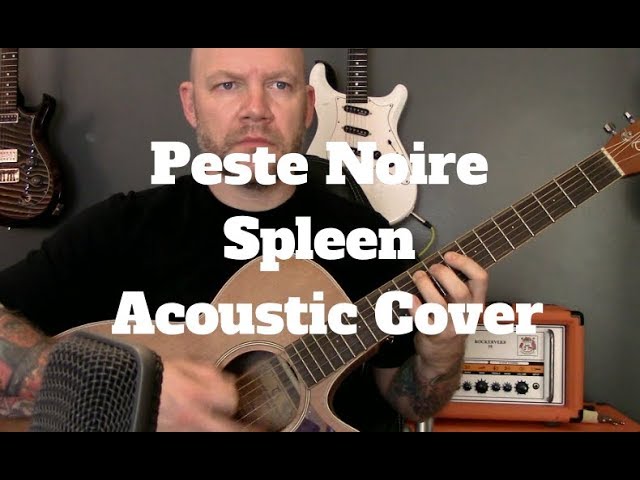 Black Metal On An Acoustic Guitar - Peste Noire - Spleen