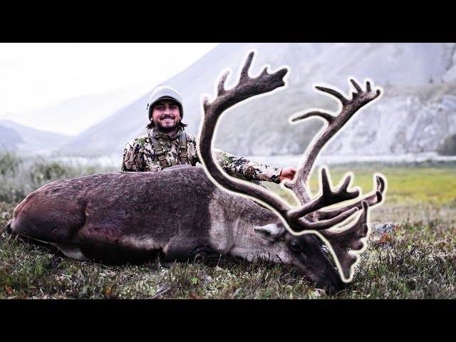 ALASKA CARIBOU WITH THE NEW MATHEWS LIFT (Shot On IPhone)