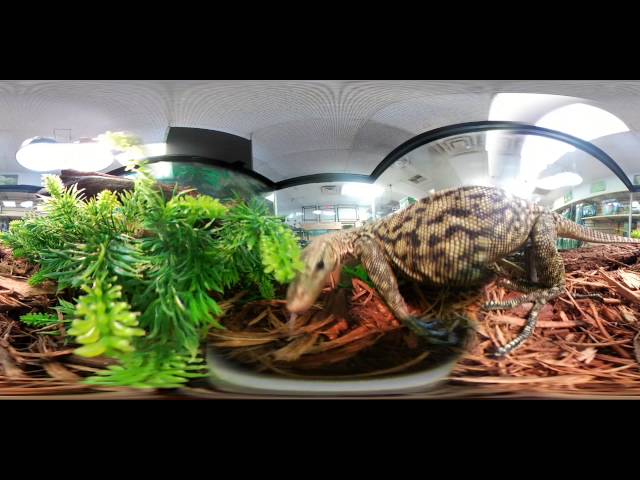 Yo Dawg I heard you like monitoring monitors in 360!