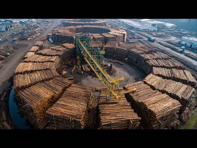 Inside a Fully Automated Sawmill That Wastes Almost Nothing! Timber Processing Explained