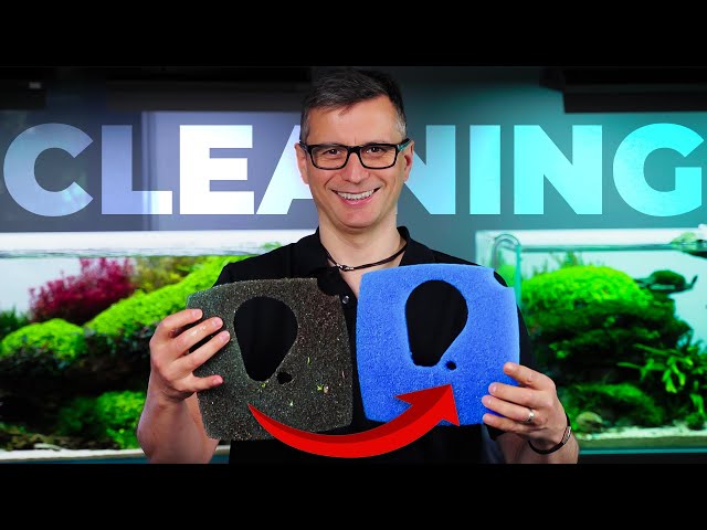 Ultimate Guide to CLEANING Your Aquarium Filter
