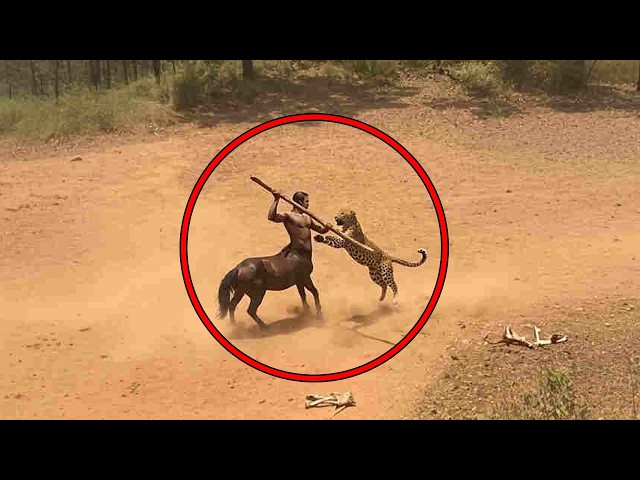 Mythical Creatures Caught On Camera!