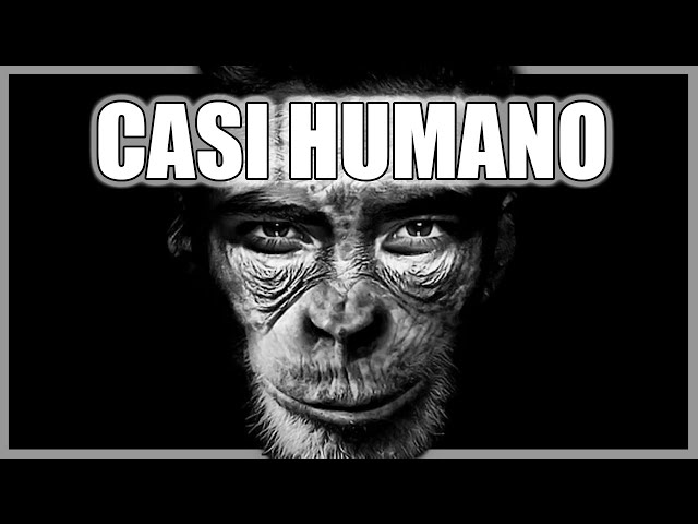 El SIMIO más INTELIGENTE que ha EXISTIDO