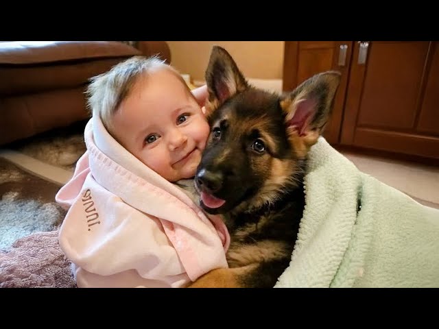 Cutest Babies and Puppies Together Ever!👶♥️🐶